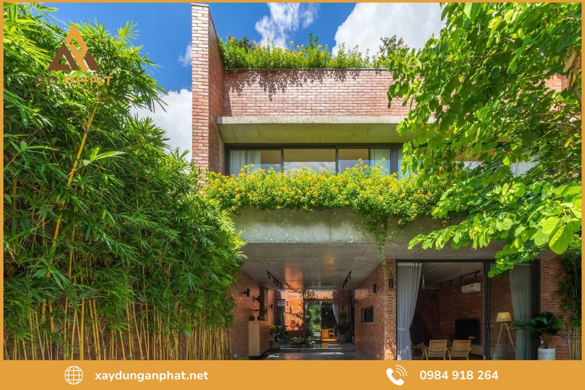 Những loại cây nên hạn chế trồng trước nhà theo kinh nghiệm dân gian